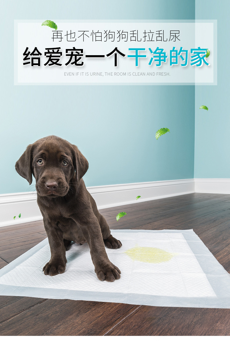 kimpets 宠物尿片狗尿片 一次性加厚吸水狗尿不湿100片纸尿垫宠物狗狗