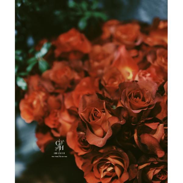 h复古咖啡时间玫瑰鲜切花月花散花20枝装顺丰快递到家家养装饰花瓶花