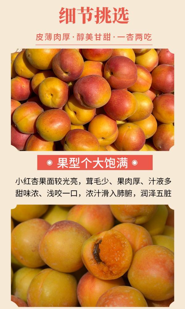 亦见 新疆阿克苏小红杏 时令水果 净重3斤60-80个果 分仓发货 顺丰或e