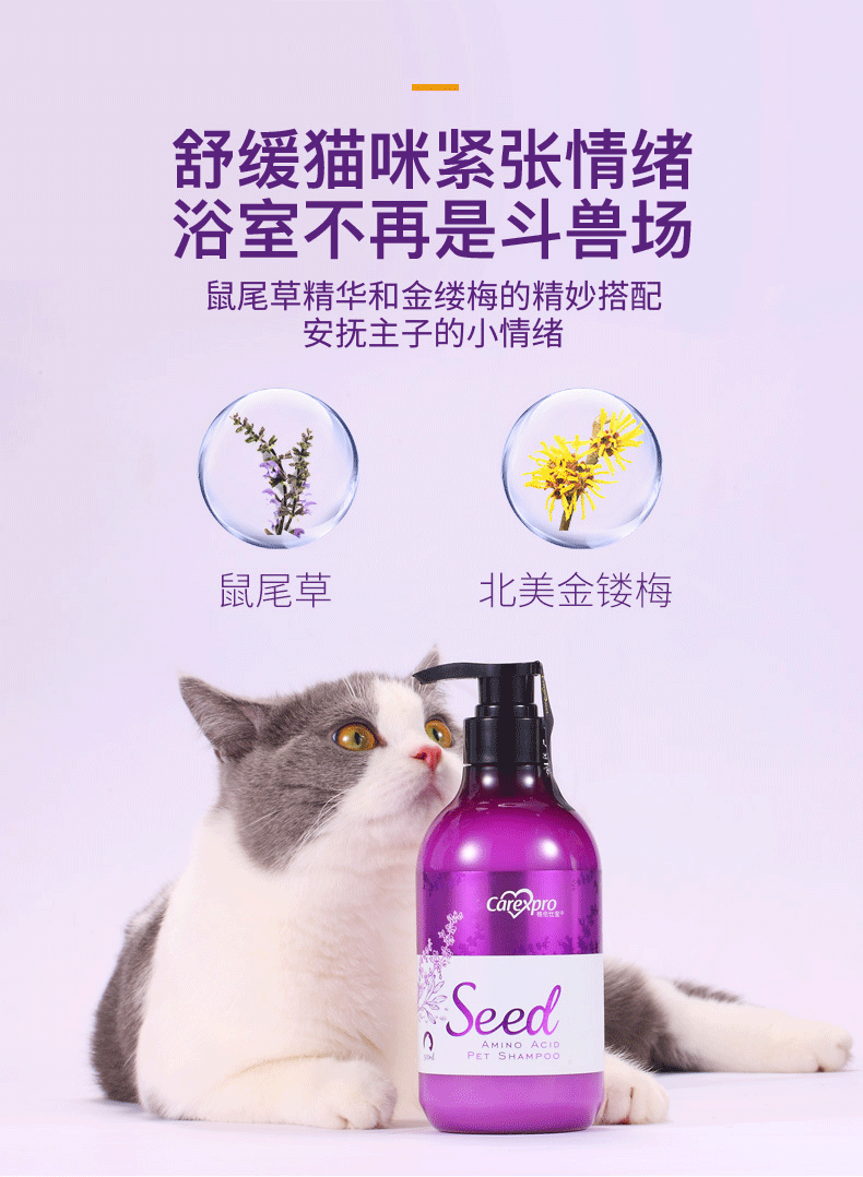 格伦仕宝 carexpro 宠物香波沐浴露 籽粹氨基酸配方 猫咪专用 500ml