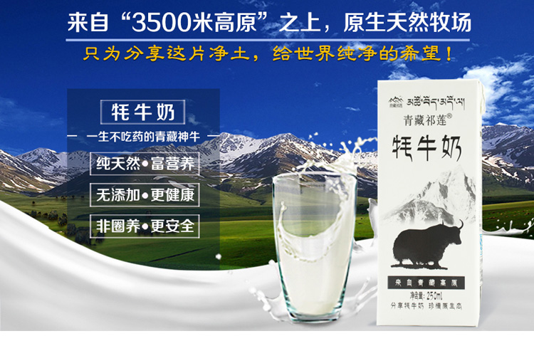 青藏祁莲牦牛奶 零添加安全营养250ml×8盒\/箱-原味