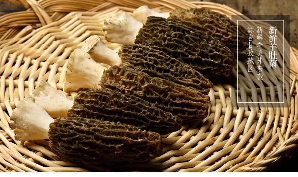 亦见 四川特产新鲜羊肚菌 500g/1000g