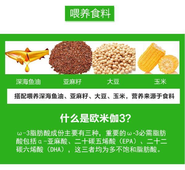鹏昌 多点欧米伽3鲜鸡蛋 喂养深海鱼油,亚麻籽,搭配谷物 40枚 2盒装