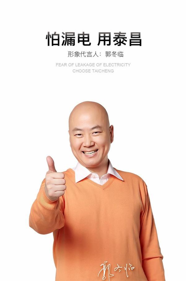 泰昌(taicn)tc-y8096熏蒸足浴盆全自动洗脚盆转盘按