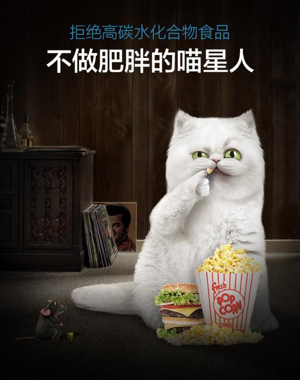 lorde里兜猫罐头猫咪主食零食罐头成幼猫湿粮90%含肉罐头100g*6罐