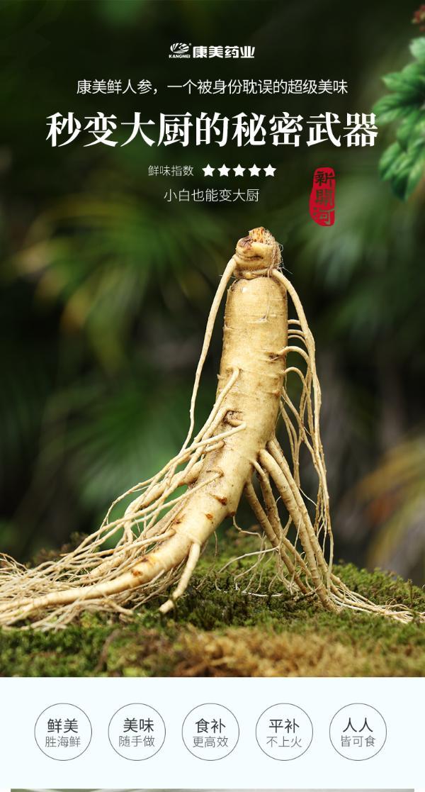 康美 新鲜人参 长白山鲜参 乐享礼盒100g 鲜品上市 冷链直邮 现挖现卖