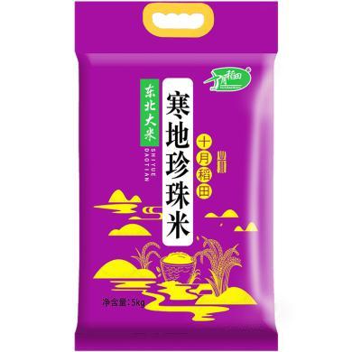 十月稻田 寒地珍珠米 5kg