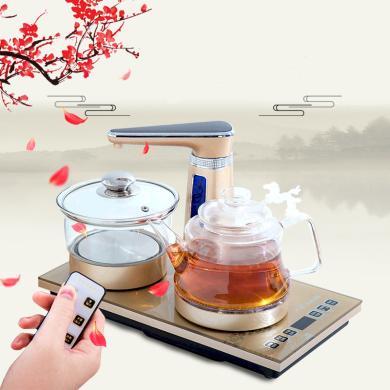 心好抽水式液体加热器（养生壶）XH-QZD-B1 全自动上水电热壶玻璃茶具    1.0L/1000W 金色