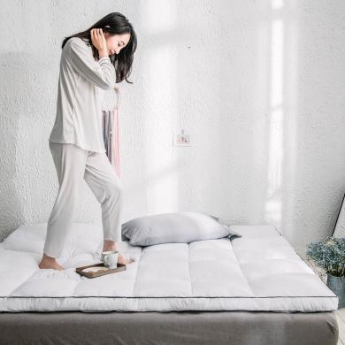 DREAM HOME 四季通用磨毛羽丝绒立体边软床垫双人床褥可折叠1.5米1.8m床垫垫被DZF789448