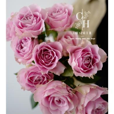 h云南鲜花基地顺丰直发 粉芭蕾玫瑰粉玫瑰 20枝装 月花散花鲜切花插瓶