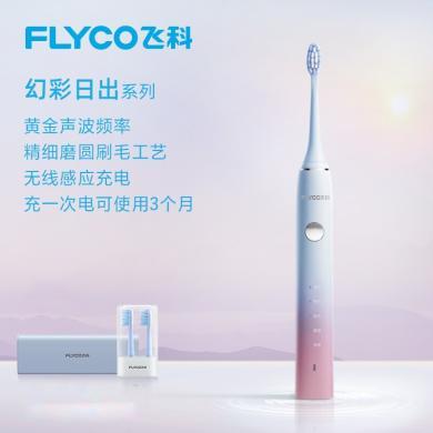 飞科（FLYCO）电动牙刷成人家用男女情侣款充电式全自动震动软毛电动牙刷情侣FT7105 成人款