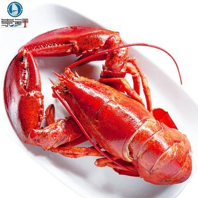 【崇鲜】 熟冻波士顿龙虾每只大约350克-400克 加拿大深海冷冻波斯顿龙虾预制菜快手菜