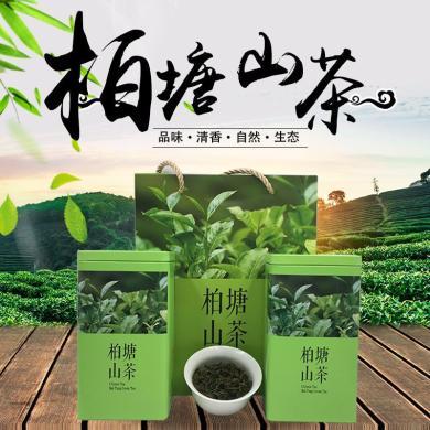 广东柏塘山茶客家绿茶高香炒茶博罗特产惠州茶叶罐装500gZF