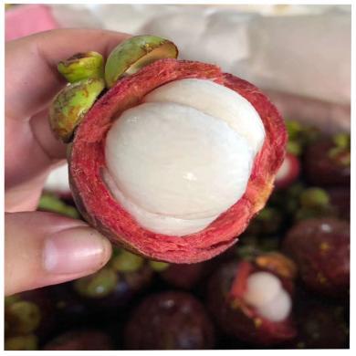 【现货速发】印尼进口山竹5斤5A新鲜孕妇水果