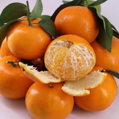 【云南特产】HUAPU 云南沃柑5斤/8斤酸甜柑橘橘子当季新鲜水果产地直发