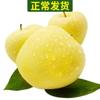 【山东特产】山东水果黄金帅苹果3-9斤黄元帅苹果现摘现发新鲜美味多个规格可选wy