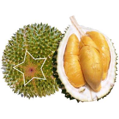 【顺丰包邮】马来西亚猫山王榴莲3-7斤可选 新鲜水果榴莲到货即吃