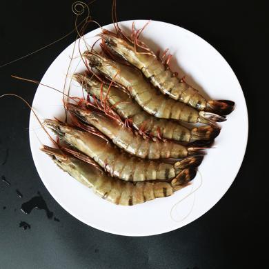 崇鲜 越南黑虎虾净重500克/盒15-18只 冷冻海鲜大虾