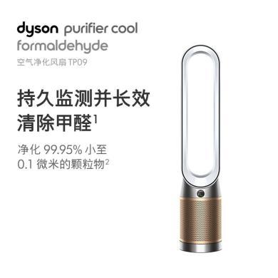 戴森(Dyson)  TP09 空气净化器 凉风空气净化二合一家用卧室净化机