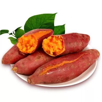 【福建特产】HUAPU 地瓜福建六鳌红薯5斤/9斤粗粮沙地红薯地瓜产地直发