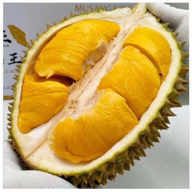 马来西亚 猫山王榴莲 一级果 包4房 进口水果 净重约3-3.5斤