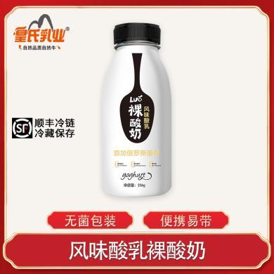 【顺丰冷链】皇氏乳业裸酸奶236g*12瓶整箱风味发酵乳低温酸牛奶