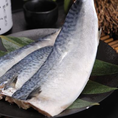 【450g*5袋】海朴冷冻青花鱼片450g*5袋海鲜水产