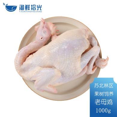 淘鲜拾光 果林谷饲散养 500天老母鸡1kg（顺丰包邮）