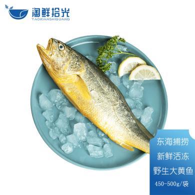 淘鲜拾光 东海捕捞 新鲜活冻原条大黄鱼（450-500克）活捕鲜冻