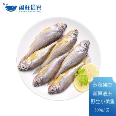淘鲜拾光 东海捕捞 新鲜速冻小黄鱼500克（10-12条）黄花鱼深海鱼海鲜水产鱼类