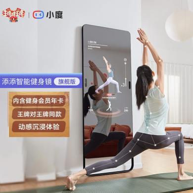 小度添添智能健身镜 智能健身镜 小度AI助手 运动镜 魔镜 运动健身镜  王牌对王牌同款 天赐的声音同款