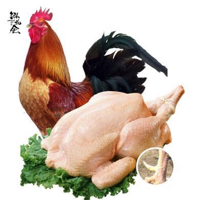 【顺丰/京东包邮】泓花会生鲜谷物散养大公鸡单只4-4.5斤