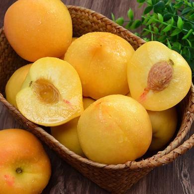 【山东特产】HUAPU 桃子山东黄金油桃3斤新鲜水果黄油桃