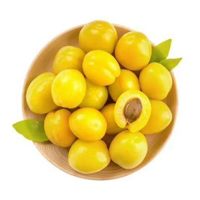 【山东特产】HUAPU 山东珍珠油杏2.5斤新鲜水果杏子产地直发