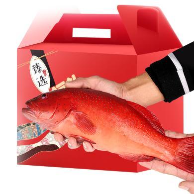 【崇鲜】生冻东星斑石斑鱼1-1.5斤  宴席硬菜  规格可选礼盒