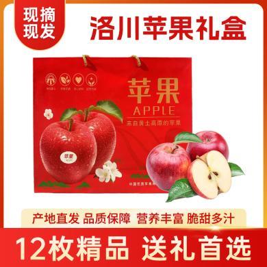 【陕西特产】洛川红富士苹果 脆甜多汁 新鲜水果精品礼盒整箱12枚