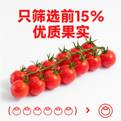 【一颗大】红樱桃番茄 串收番茄 水果小西红柿生吃 自然成熟 车厘串茄 红串樱桃番茄 198g*4盒