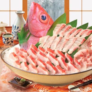 【冰鲜】崇鲜 冰鲜红鸡鱼600-750克/条 红鳍笛鲷鱼生鱼片刺身日料