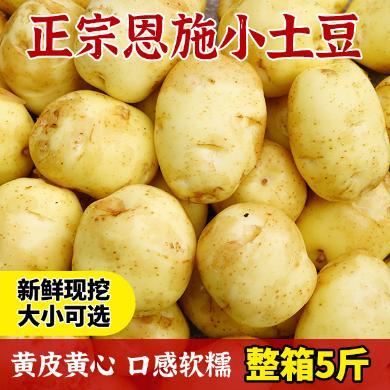 【湖北特产】恩施小土豆 地理标志产品 现挖现发
