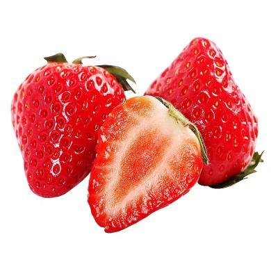 辽宁丹东九九红颜大草莓3斤 中果 家庭新鲜奶油牛奶红颜久久草莓