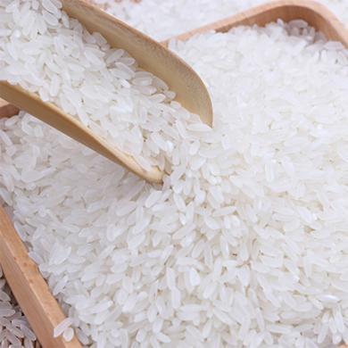 北纬45 黑龙江东北大米五常大米稻花香米1kg