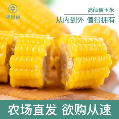 【东北吉林特产】黄玉米（黄）甜糯鲜食玉米200g 水果玉米（通用款10根装）