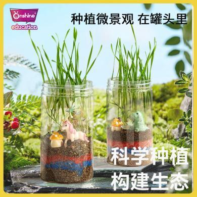 onshine 热销小学生种草种花培养罐透明小花盆种植花草生态罐