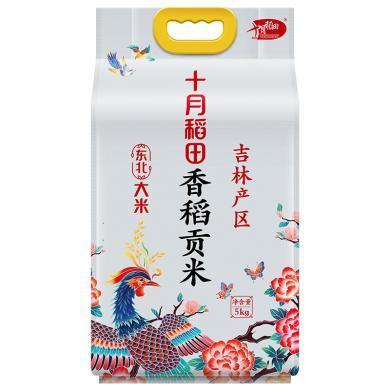 十月稻田 香稻贡米5kg东北大米