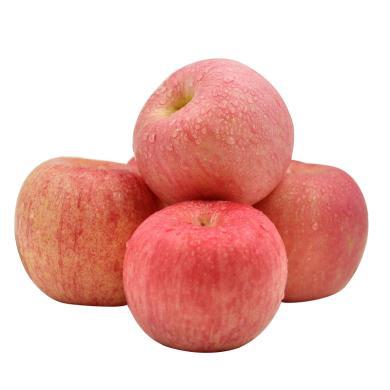 【山东特产】HUAPU 烟台苹果水果红富士4.5-5斤酸甜新鲜苹果产地直发