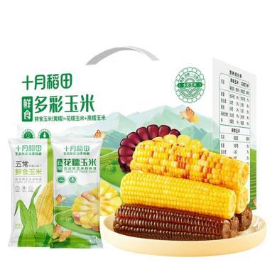 十月稻田多彩玉米2.14gk黏苞米 鲜食玉米大棒低脂混搭装