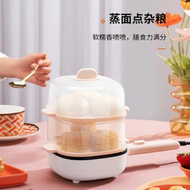 九阳（Joyoung）煮蛋器家用小型单双层蒸蛋器多功能自动断电蒸鸡蛋煎蒸一体 SK03B-GS110（双层）