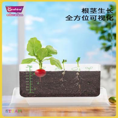 onshine植物观察窗盒透明根系生长阳光种植房种花幼儿园儿童玩具