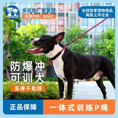 多尼斯（DOGNESS）狗狗牵引绳项圈小型犬拴遛狗绳P链防爆冲泰迪比熊法斗博美