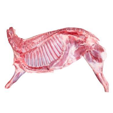 【宁夏特产】 宁夏滩羊肉 10斤 半只羊鲜肉现切当天屠宰次日发货 可选断骨连肉整发和精细化分割
